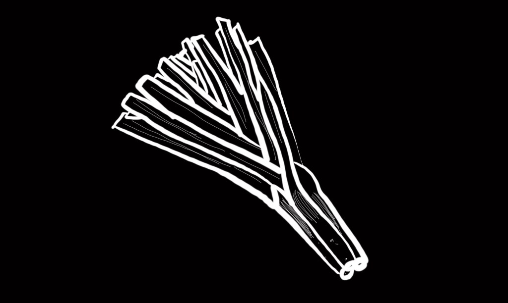 A poorly-drawn leek